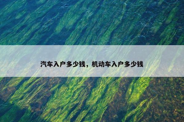 汽车入户多少钱，机动车入户多少钱