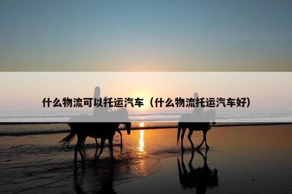 什么物流可以托运汽车（什么物流托运汽车好）