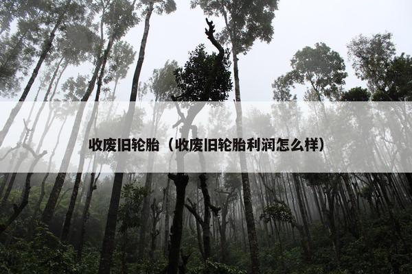 收废旧轮胎（收废旧轮胎利润怎么样）