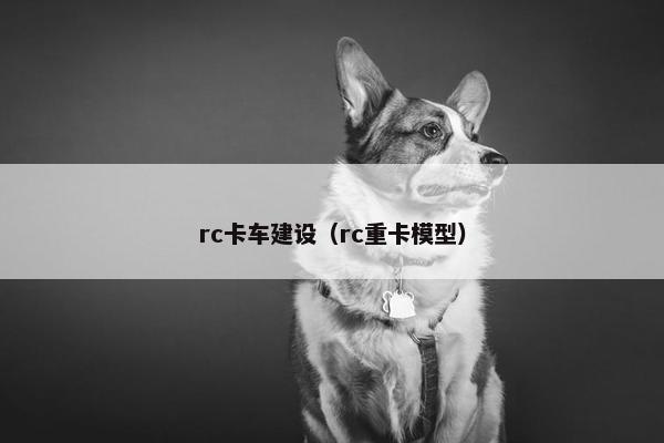 rc卡车建设（rc重卡模型）
