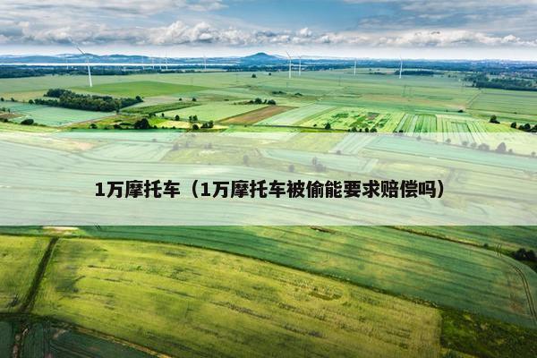 1万摩托车（1万摩托车被偷能要求赔偿吗）