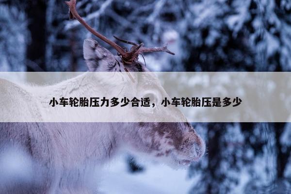 小车轮胎压力多少合适，小车轮胎压是多少