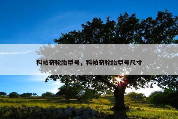 科帕奇轮胎型号，科帕奇轮胎型号尺寸