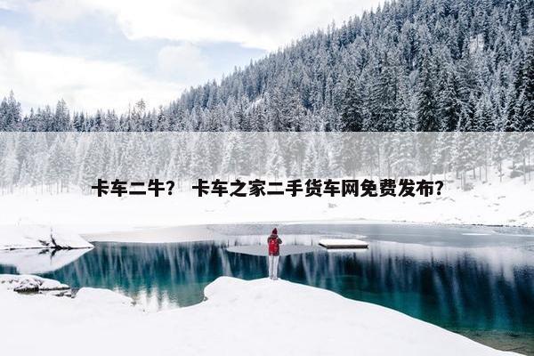 卡车二牛？ 卡车之家二手货车网免费发布？