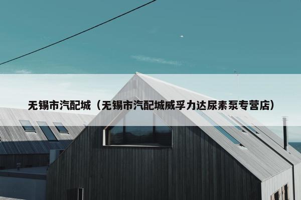 无锡市汽配城（无锡市汽配城威孚力达尿素泵专营店）