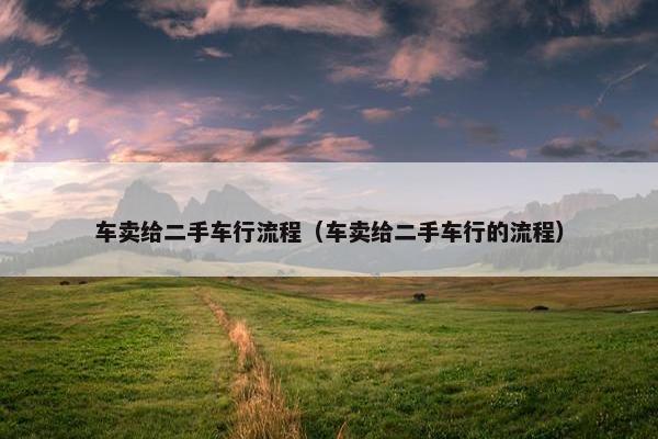 车卖给二手车行流程（车卖给二手车行的流程）