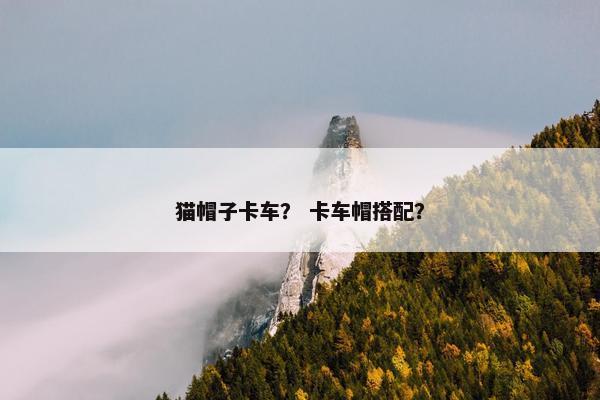 猫帽子卡车？ 卡车帽搭配？