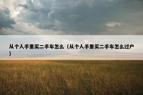 从个人手里买二手车怎么（从个人手里买二手车怎么过户）