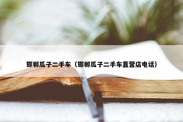 邯郸瓜子二手车（邯郸瓜子二手车直营店电话）