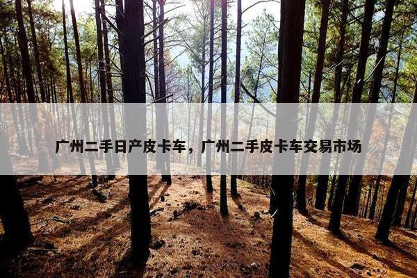 广州二手日产皮卡车，广州二手皮卡车交易市场