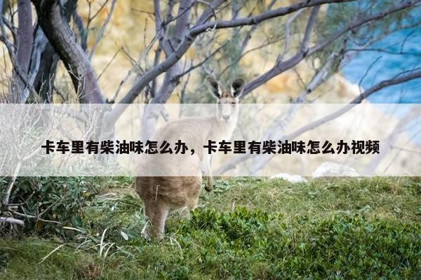 卡车里有柴油味怎么办，卡车里有柴油味怎么办视频