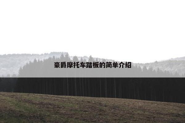 豪爵摩托车踏板的简单介绍