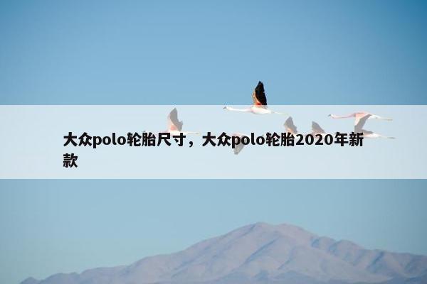大众polo轮胎尺寸，大众polo轮胎2020年新款