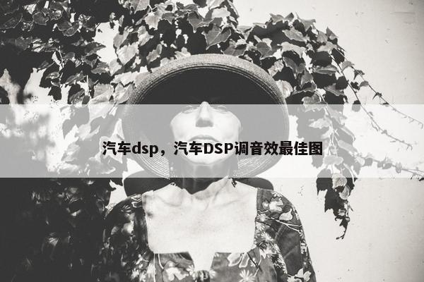 汽车dsp，汽车DSP调音效最佳图