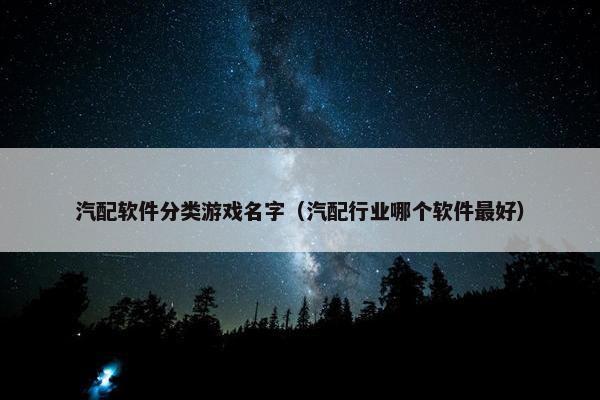 汽配软件分类游戏名字（汽配行业哪个软件最好）