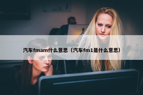 汽车fmam什么意思（汽车fm1是什么意思）
