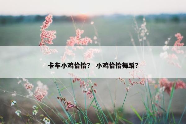 卡车小鸡恰恰？ 小鸡恰恰舞蹈？