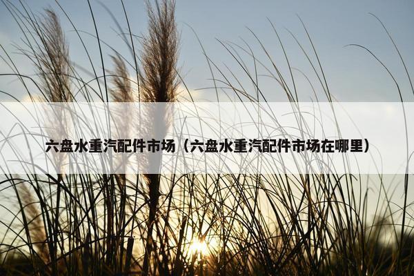 六盘水重汽配件市场（六盘水重汽配件市场在哪里）