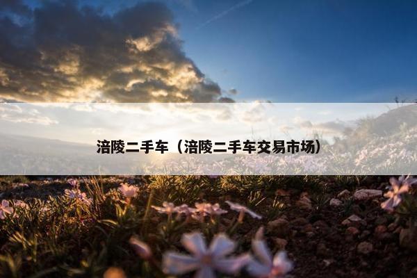 涪陵二手车（涪陵二手车交易市场）