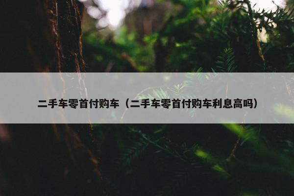 二手车零首付购车（二手车零首付购车利息高吗）