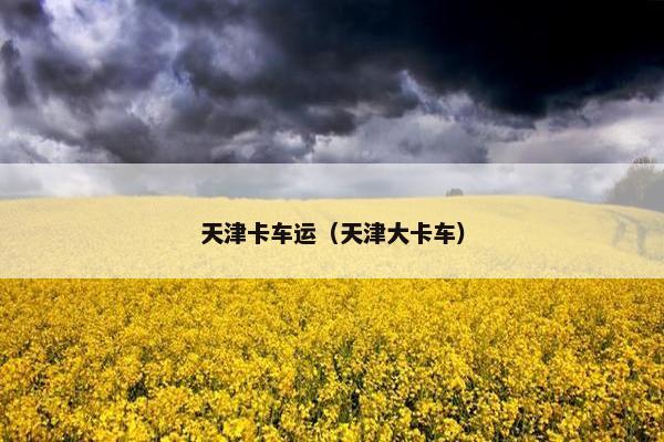 天津卡车运（天津大卡车）