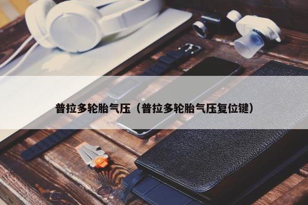 普拉多轮胎气压（普拉多轮胎气压复位键）