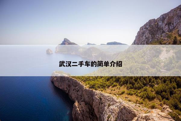武汉二手车的简单介绍