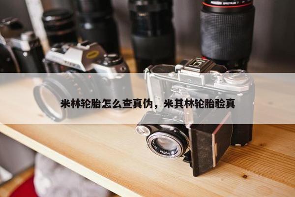 米林轮胎怎么查真伪，米其林轮胎验真