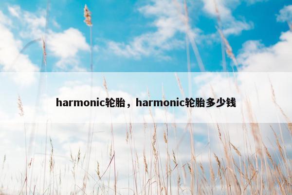 harmonic轮胎，harmonic轮胎多少钱