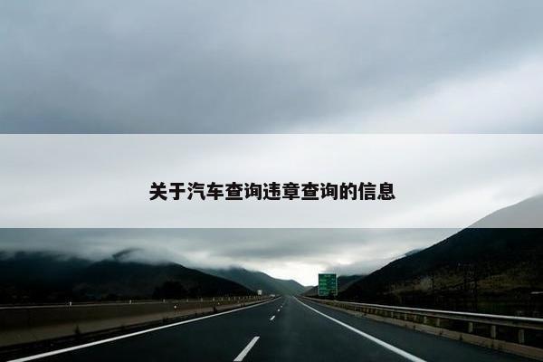 关于汽车查询违章查询的信息