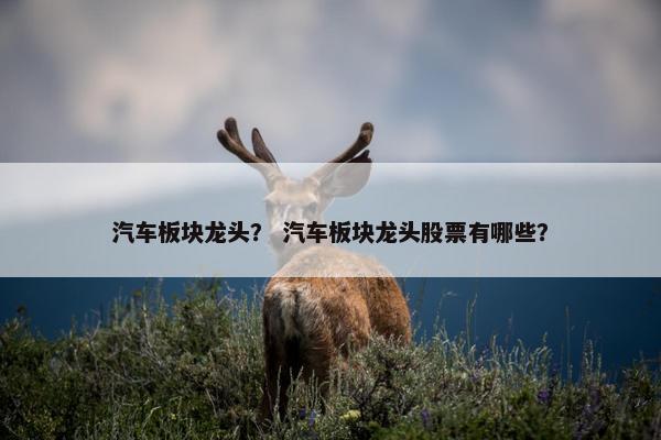 汽车板块龙头？ 汽车板块龙头股票有哪些？