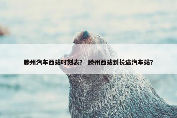 滕州汽车西站时刻表？ 滕州西站到长途汽车站？