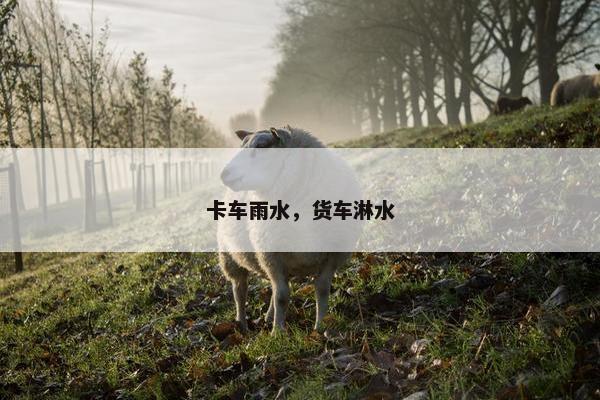 卡车雨水，货车淋水