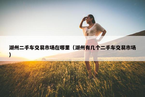 湖州二手车交易市场在哪里（湖州有几个二手车交易市场）