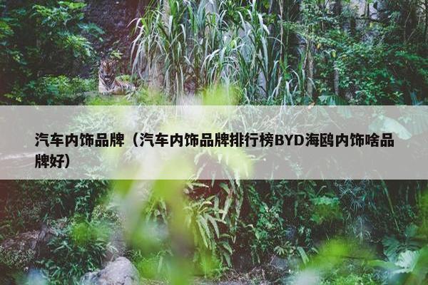 汽车内饰品牌（汽车内饰品牌排行榜BYD海鸥内饰啥品牌好）