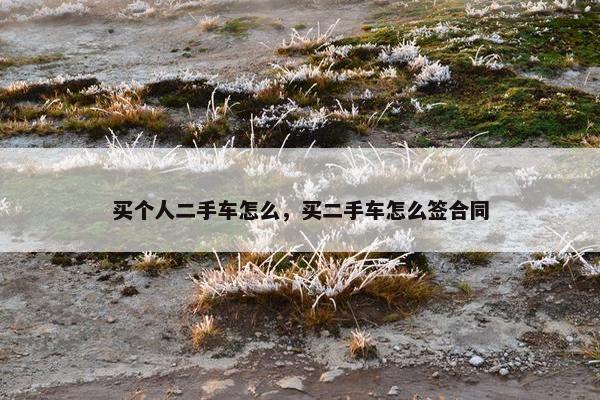 买个人二手车怎么，买二手车怎么签合同