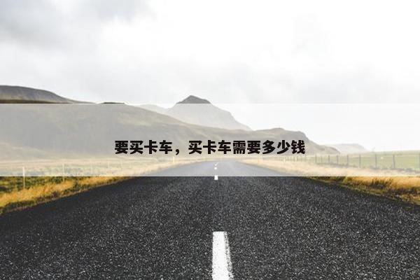 要买卡车，买卡车需要多少钱
