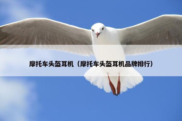 摩托车头盔耳机（摩托车头盔耳机品牌排行）