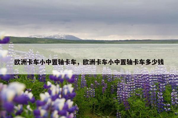 欧洲卡车小中置轴卡车，欧洲卡车小中置轴卡车多少钱