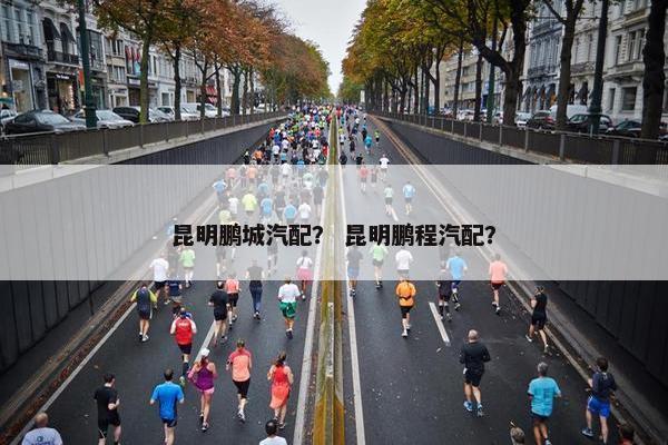 昆明鹏城汽配？ 昆明鹏程汽配？
