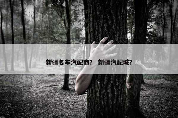 新疆名车汽配商？ 新疆汽配城？