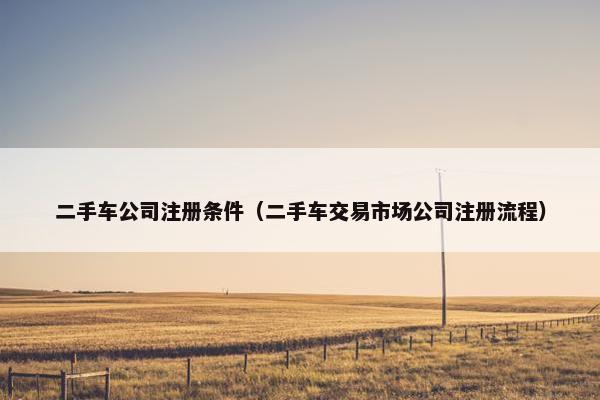 二手车公司注册条件（二手车交易市场公司注册流程）