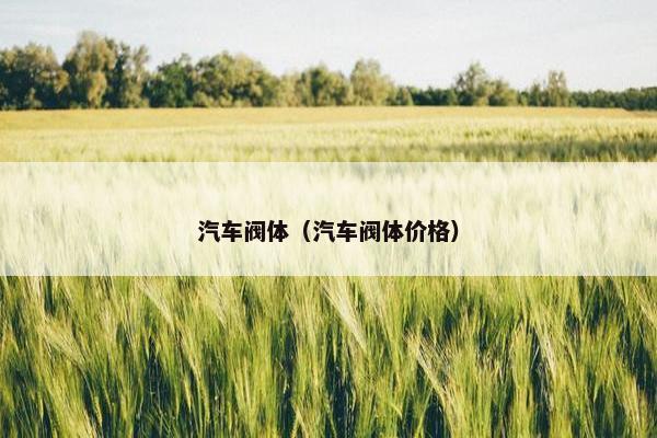 汽车阀体（汽车阀体价格）