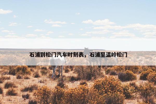 石浦到松门汽车时刻表，石浦至温岭松门