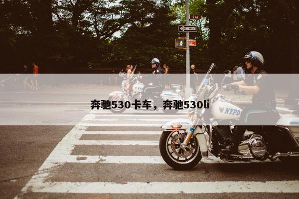 奔驰530卡车，奔驰530li