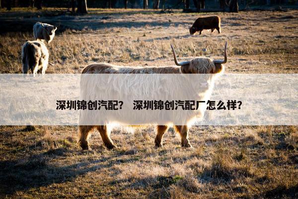 深圳锦创汽配？ 深圳锦创汽配厂怎么样？