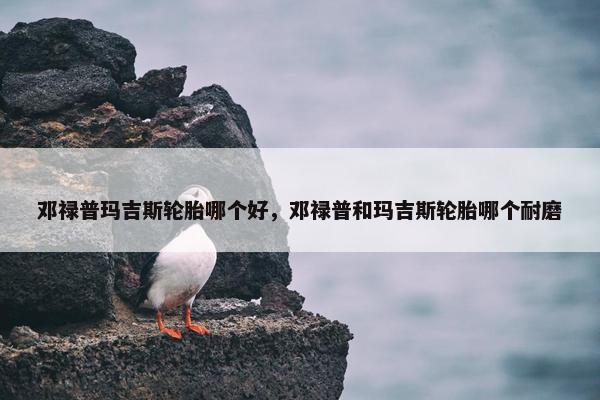 邓禄普玛吉斯轮胎哪个好，邓禄普和玛吉斯轮胎哪个耐磨