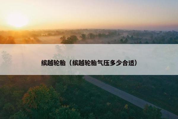 缤越轮胎（缤越轮胎气压多少合适）