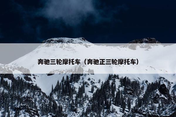 奔驰三轮摩托车（奔驰正三轮摩托车）