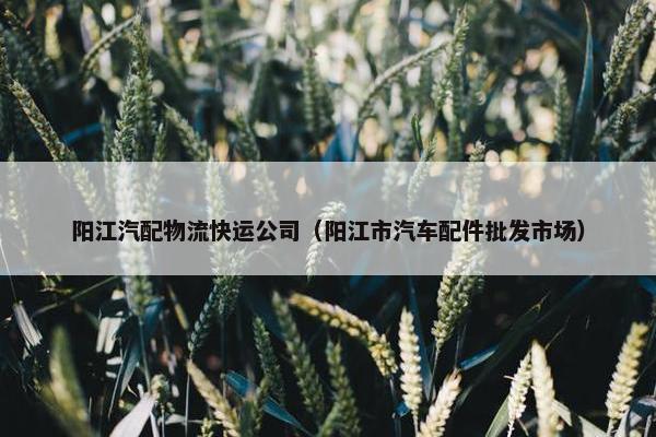 阳江汽配物流快运公司（阳江市汽车配件批发市场）